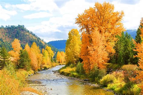 Autumn River Landscape Photograph by Athena Mckinzie