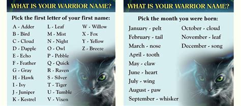 Find Out Your Warrior Name | Warrior Cats in 2020 | Warrior names ...