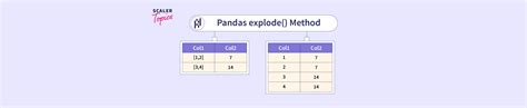 How to Use the Pandas explode() Function? - Scaler Topics