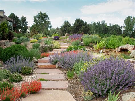 The Beginner’s Guide to Xeriscaping In Denver - 5280