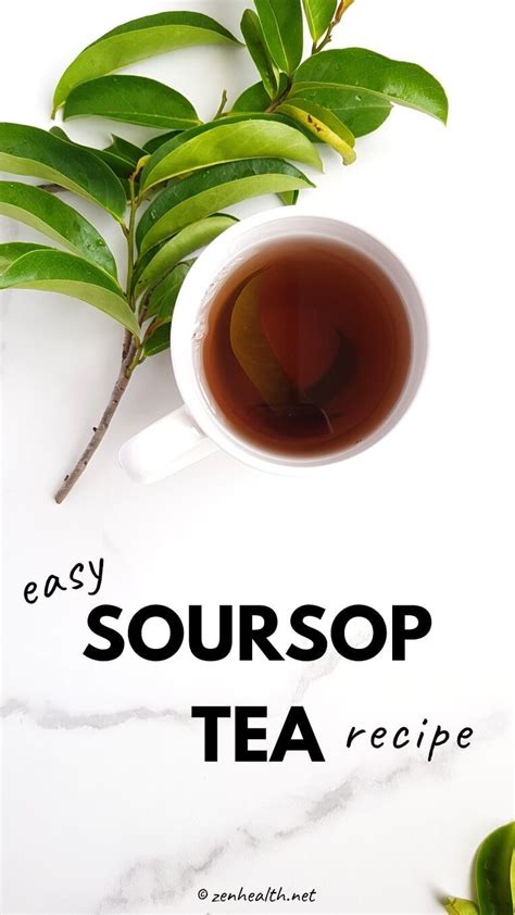 Soursop Tea Recipe and Its Proven Benefits (No False Claims ...