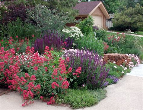 Creating an Environmentally Friendly Garden through Xeriscaping ...