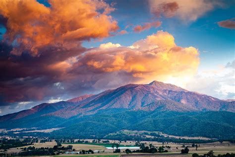 Mount Bogong Heights (69488), photo, photograph, image | R a Stanley ...