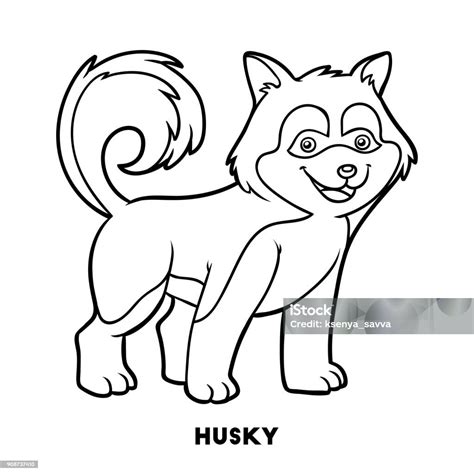 Buku Mewarnai Ras Anjing Husky Ilustrasi Stok - Unduh Gambar Sekarang ...