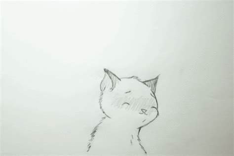 Cute Cat Drawing Gif Simple cat drawing drawing eyes body drawing ...