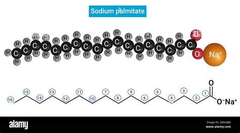 Structure of Sodium palmitate : Salt of palmitic acid (C15H31COOH Stock ...