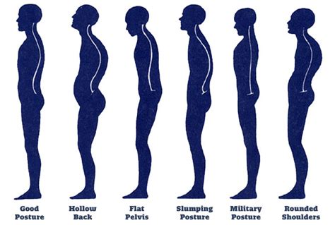 Best of Techniques to improve Posture to avoid muscle pain