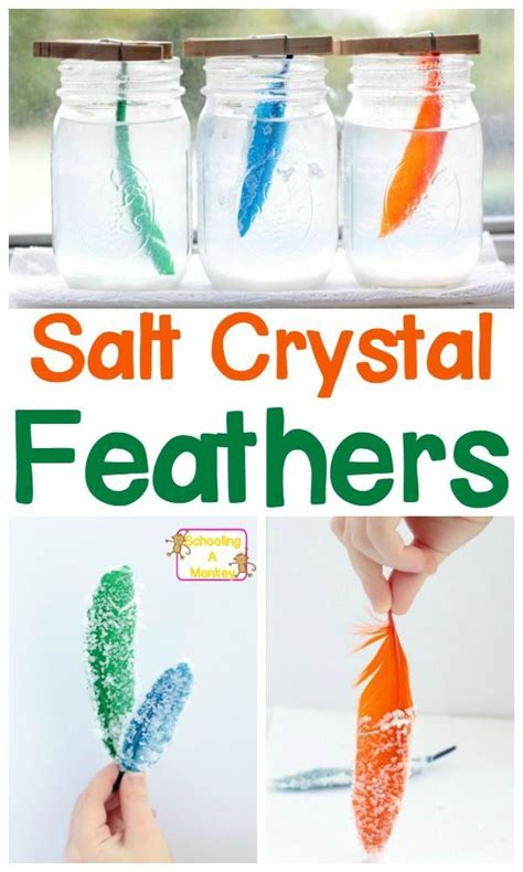 Science Projects For Kindergarten - Kindergarten