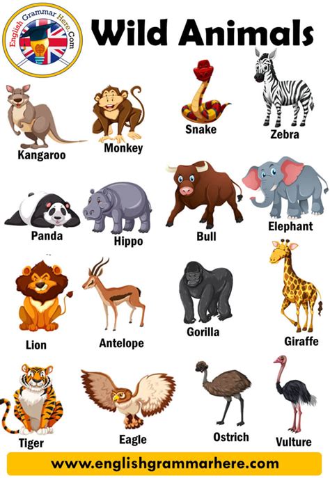 Zoo Animals List Names