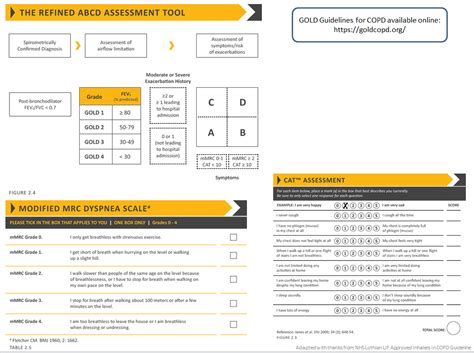 COPD (Chronic Obstructive Pulmonary Disease) (Guidelines) | Right Decisions