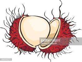 Vector Cartoon Rambutan Stock Clipart | Royalty-Free | FreeImages