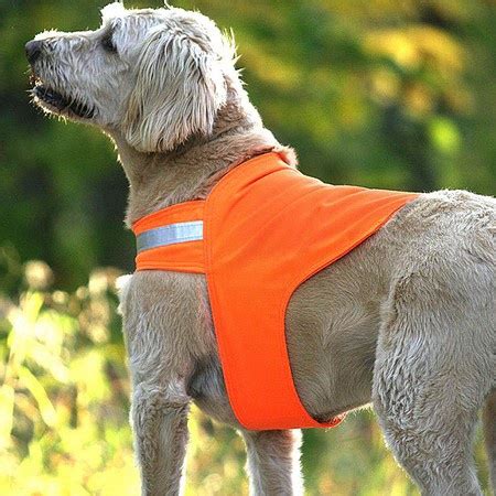 Dog Safety Vest, Hunter Orange by Dog Not Gone