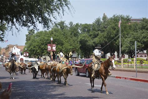 _DSC0769 | Texas USA Summer Experience, Another Dream Come t… | Flickr