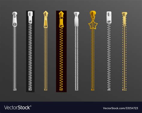 Different types zipper - gold and silver Vector Image