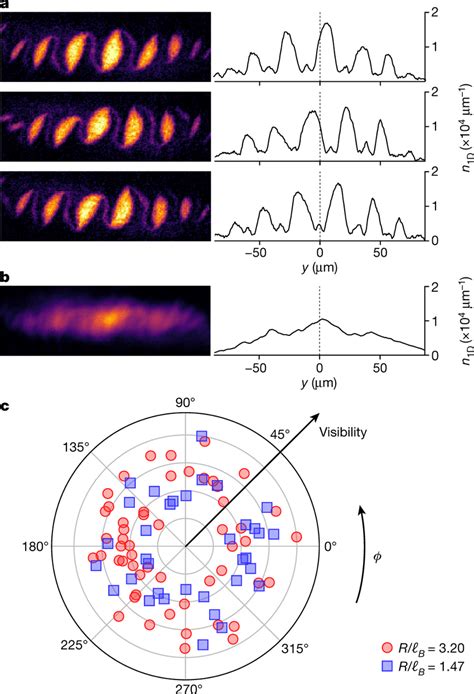 Spontaneous breaking of translational symmetry a, Images of the ...