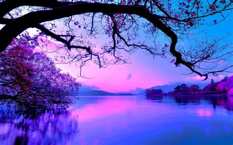 Online crop | purple sky, nature HD wallpaper | Wallpaper Flare