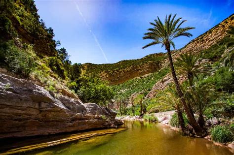 Agadir: Valle del Paraíso y Paseo en Camello por las Dunas del Desierto ...