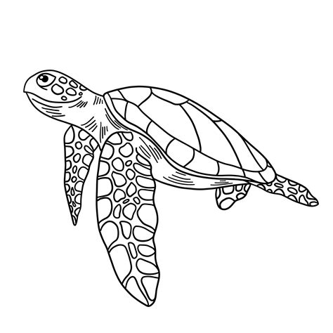 Turtle Outline Template