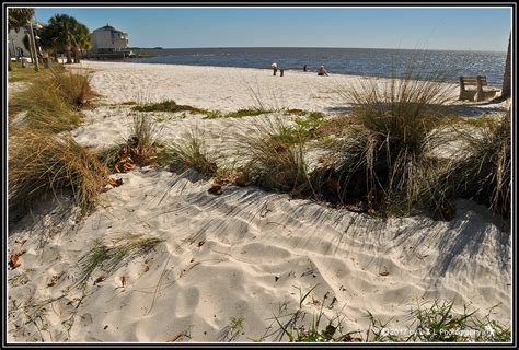 Cedar Key (Florida) Photos: Cedar Key Beach