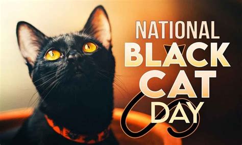 National Black Cat Day