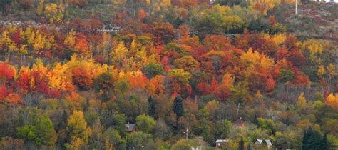 Northwoods Photography | Duluth MN Fall Colors