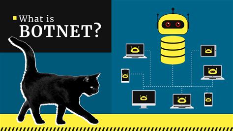 What is a Botnet? DDoS and Botnet Attacks in 2024