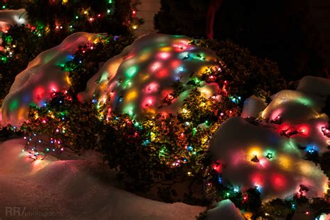 There's just something about snow covered Christmas lights. | Christmas ...