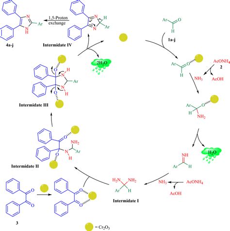 Plausible reaction mechanism for the synthesis of imidazole derivatives ...