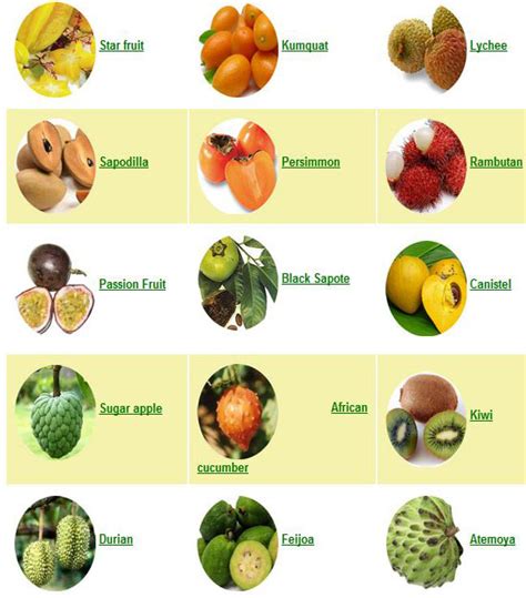 Juwita Blog: Fruits | List of Exotic fruits