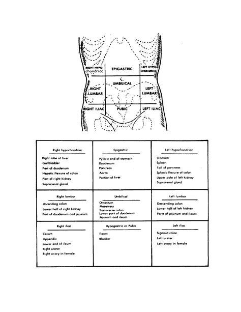 9 Regions Of The Body