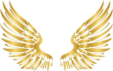 Transparent Angel Wings Vector Png Fairy Wings Vector Png Png My Xxx ...