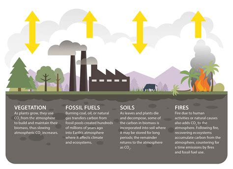 Why Is Carbon Important? | NASA Climate Kids