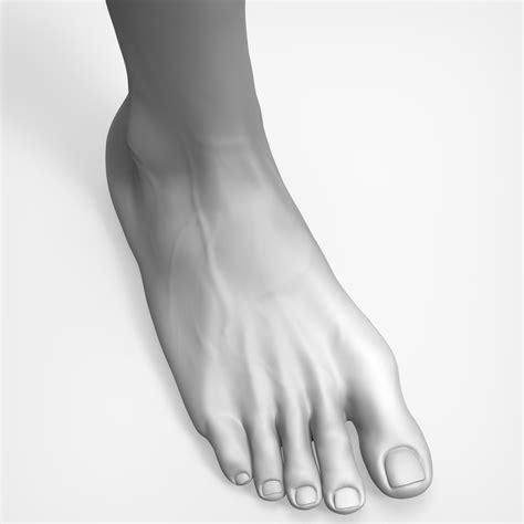 Beauty Foot 3D Model $49 - .unknown .obj .ztl - Free3D