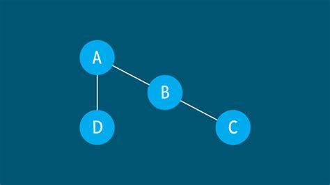 Graph Overview | Data Structure - Ibrahim Hasnat