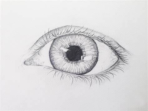 Basic Drawing Eyes : Pemula Menggambar Beginners Helquist Brett ...