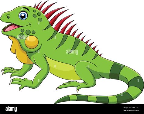 Iguana iguanas Stock Vector Images - Alamy