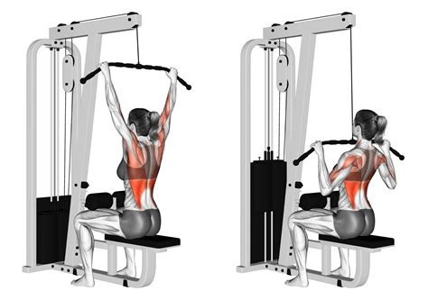 Lat Pulldown Machine Exercises: Attachments and Alternatives Explained ...