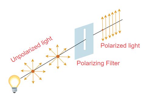 Polarization of Light - Definition, Types, Examples & Applications