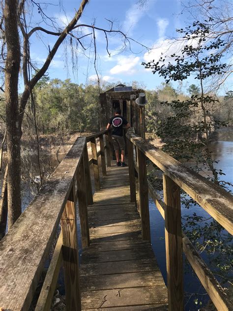 Suwannee River State Park | The Dyrt