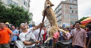 Yulin Festival, Inside The Controversial Dog Meat Eating Event In China