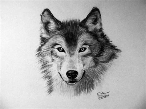 Wolf Drawing by LethalChris on DeviantArt | Wolf drawing, Wolf art ...