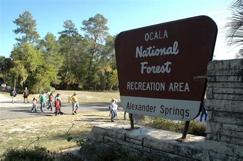 Alligator Attack Closes Alexander Springs - Inside Lake