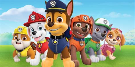 Best Paw Patrol Characters That You Might Admire - OtakuKart