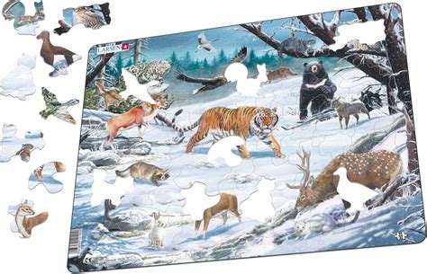 FH34 - Winter Wildlife in Siberia and Northeast Asia :: Animals ...