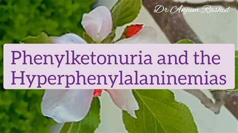 Phenylketonuria Causes, Signs and Symptoms, Diagnosis & Treatment - YouTube