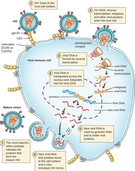 Uncategorized – Welcome to the world of Microbiology