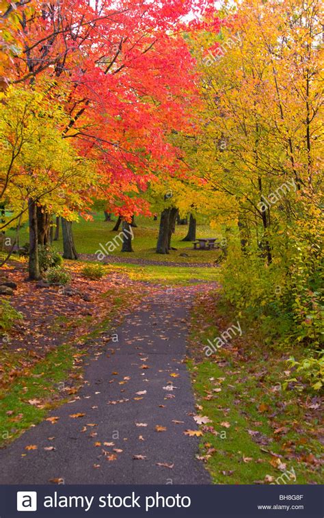 Fall colors in Enger Tower Park, Duluth, Minnesota Stock Photo - Alamy