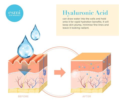 7 Benefits of Hyaluronic Acid and You Need It