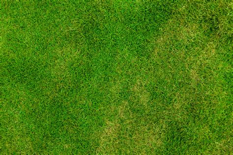 Grass Pattern Free Stock Photo - Public Domain Pictures