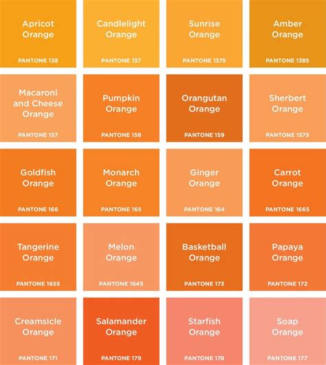 shades of orange color schemes - Is Going Crazy Weblogs Pictures Library